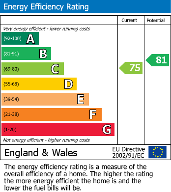Energy Performance Certificate for Birch Tree Hollow, Willenhall, West Midlands